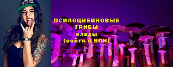 стафф Абинск