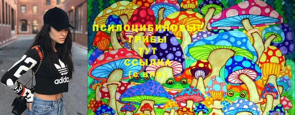 ПСИЛОЦИБИНОВЫЕ ГРИБЫ Алексин
